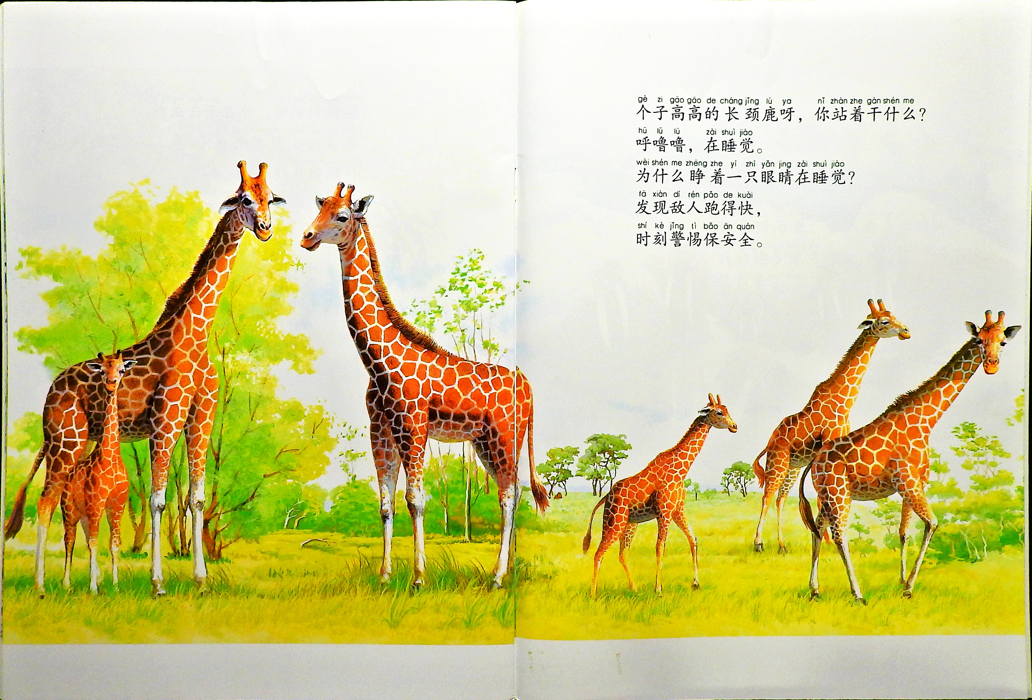 它们在干什么？ (10),绘本,绘本故事,绘本阅读,故事书,童书,图画书,课外阅读